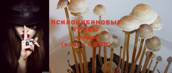 крисы Абинск