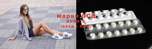 ГАЛЛЮЦИНОГЕННЫЕ ГРИБЫ Абаза