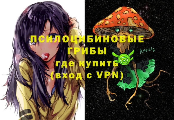 ГАЛЛЮЦИНОГЕННЫЕ ГРИБЫ Абаза