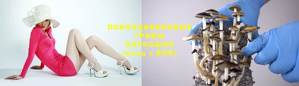 крисы Абинск
