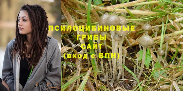 ГАЛЛЮЦИНОГЕННЫЕ ГРИБЫ Абаза