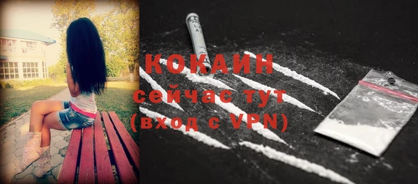 ГАЛЛЮЦИНОГЕННЫЕ ГРИБЫ Абаза
