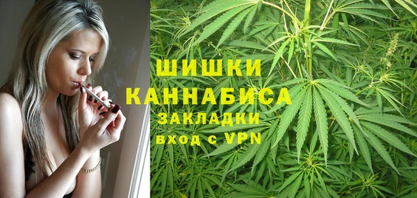 ГАЛЛЮЦИНОГЕННЫЕ ГРИБЫ Абаза